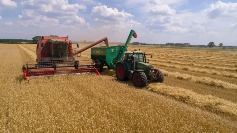 accounting for farmers